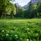 Sun kissed meadow Alpine grass gleams under the radiant sunlight