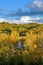 Sun Lake and White Birch in the autumn