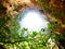 Sun light beam through cave hole crop view with green jungle tree