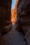 Sun Lights Back Wall of Slot Canyon in Valley of Fire