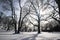 Sun lights on trees, shadow on snow and buildings