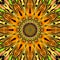 Sun mandala wallpaper background in golden, orange and yellow colors