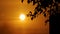 Sun in orange sky amidst clouds with silhouetted leaves in Uttar Pradesh, India