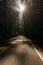 The sun passing between the branches of the trees in the Avenue of the Giants and iluminating the road, California, USA.