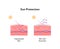 Sun protection medical infographic. Vector flat illustration. Skin layers with uva and uvb arrows. Protected with sunscreen and