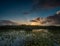 Sun Rays Cut Through Horizon Over Everglades