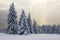 Sun rays enlighten the snowy lawn with fair trees. Majestic winter scenery. High mountain