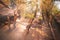 Sun rays through the land of simple, rustic and down to basic living hut in a village  in northern of Thailand Asia A traditional