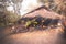 Sun rays through the land of simple, rustic and down to basic living hut in a village  in northern of Thailand Asia A traditional