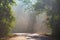 Sun rays through mist illumining a curved scenic road surrounded by beautiful green forest with light effects and shadows.  Kaeng