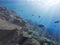 Sun rays penetrating through ocean sea waters and shining on a tropical coral reefs