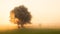 Sun rays shining thru tree in a foggy field at sunrise
