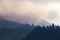 Sun rays streak three levels of misty mountain forests
