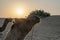 Sun rise at the horizon of Thar desert, Rajasthan, India. Dromedary, dromedary camel, Arabian camel, or one-humped camel is