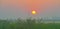 Sun rises along a wind turbine in a foggy field in summer