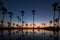 The sun is rising. Front of the sugar palm tree And a water reflection.