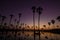 The sun is rising. Front of the sugar palm tree And a water reflection.