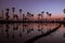 The sun is rising. Front of the sugar palm tree And a water reflection.