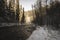 sun rising in heavy snow covered forest - vintage retro look