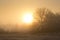 Sun rising just above horizon in fog across a rural landscape