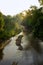 Sun rising shining through green leaves tree forest over a stream river landscape in Girona, Catalonia