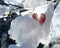 The sun`s rays break through the red heart on the snow pile on the branch