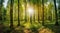 The sun\\\'s rays illuminate the forest, creating a captivating panorama Creating using generative AI tools