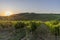 The sun sets over the famous vineyards for the production of classic Chianti wine between the provinces of Siena and Florence