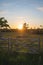 The sun is setting behind some trees in an unused pasture with a wooden gate in the area of SkÃ¥ne, Sweden