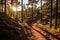 the sun is setting behind a trail in the forest