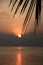 Sun Setting Behind Tropical Clouds Formation with Palm Tree over