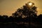 Sun setting on lower zambezi