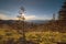 The sun setting over the Great Smoky Mountains of North Carolina