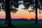 Sun setting over the green and cultivated fields seen from the cypress forest.