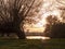 Sun setting over lake and bare branch tree top silhouette scenic