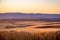 Sun setting over ripe fields of winter wheat