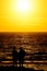 The Sun Setting in the Seasea, sunset, sun, ocean, water, summer, sky, beach, vacation, beautiful, reflection, evening, background
