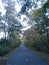 Sun setting tree filled bike path