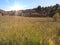 Sun shine brightly in the field at Sardine Peak Trailhead