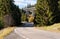 Sun shines on asphalt road s curve leading through forest, coniferous trees both sides, small highway bridge background