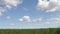 Sun Shines & Beautiful Heavenly Clouds in Blue Sky Above Grass Field Lonely Tree - Cloud scape, Beautiful Countryside Nature Scene