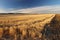 The sun shines brightly on a field in the high plains of Colorado.