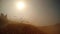 Sun shines through cloud of dust chopped stems flying around farmer\'s silhouettes working farmland Khuri desert Thar Rajasthan