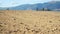 Sun shines on dry field, small forest and mountains background, camera slides slowly