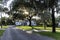 Sun shines through oak trees draped in Spanish moss along a rural Florida road.