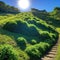 The sun shines on a restored, reclaimed hill covered with vegetation. Concept - healing the Earth