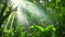 Sun Shines Through Trees in the Jungle, A lush tropical rainforest during the day with sunbeams filtering through the foliage1, AI