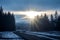 the sun shines through the trees on a snowy road