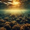 the sun shines through the water above corals on the ocean floor