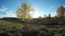 Sun shining with birch trees in autumn, time lapse 4K
